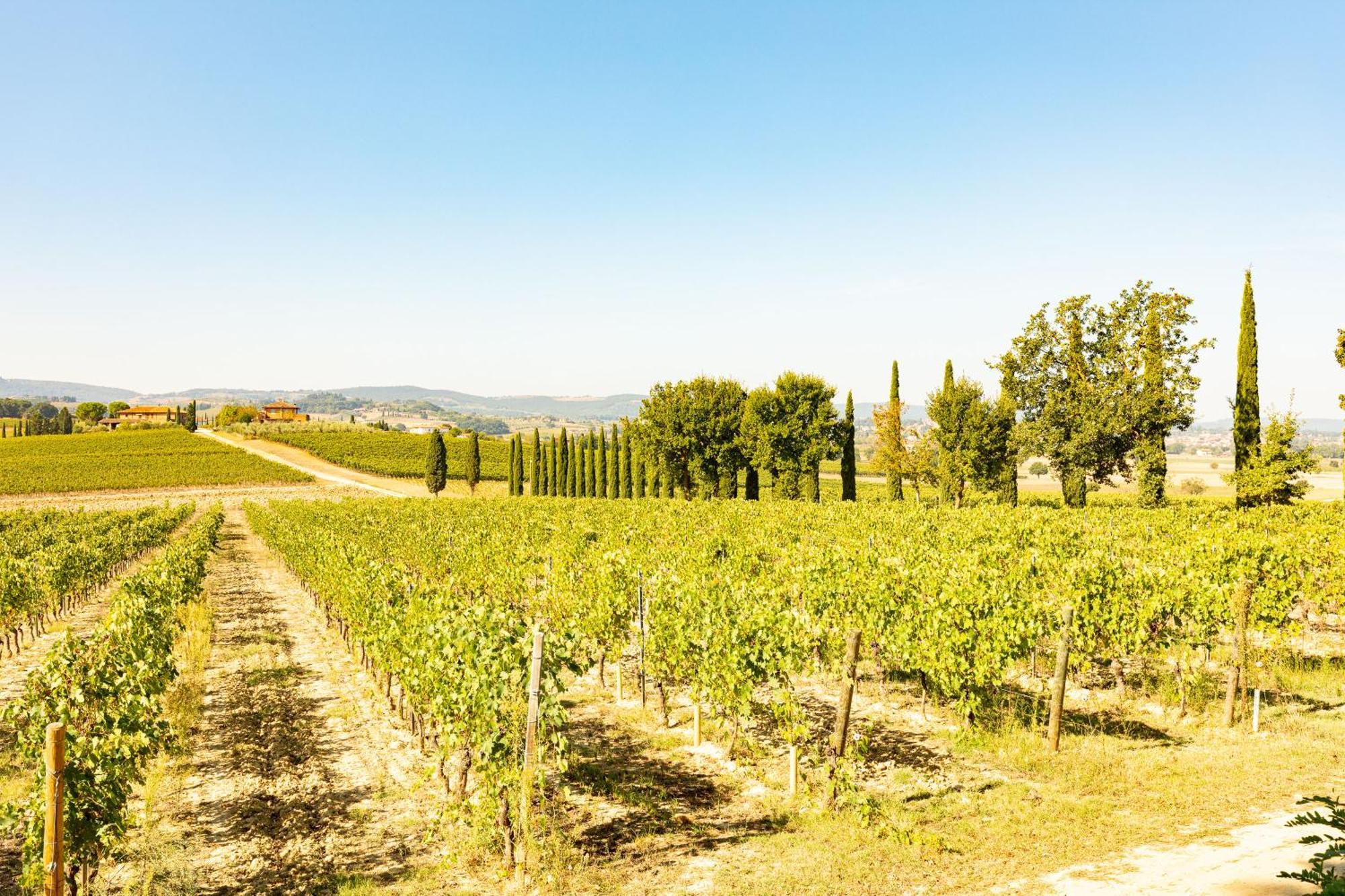 Appartamento Nobile Montepulciano Stazione Eksteriør billede