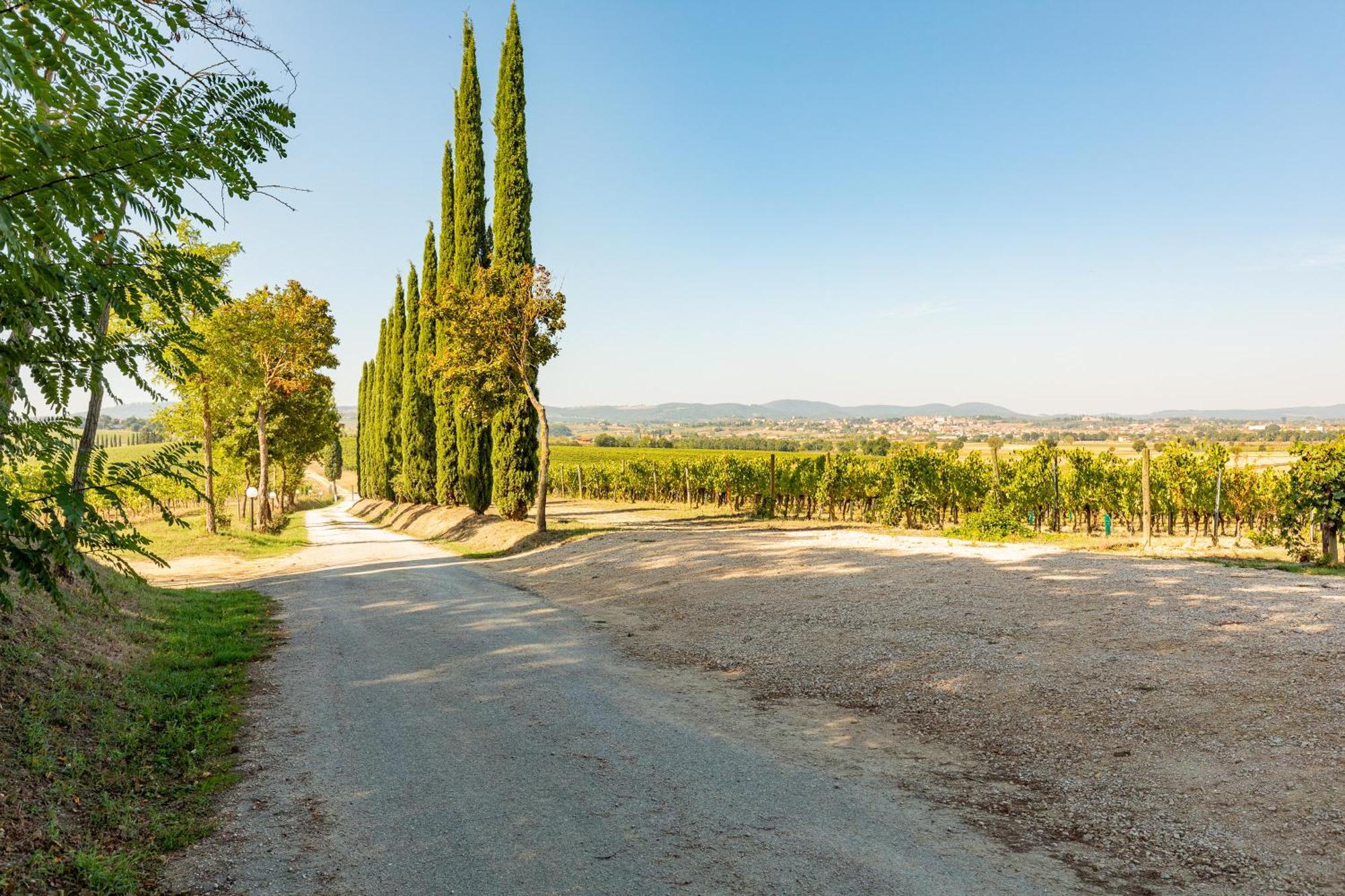 Appartamento Nobile Montepulciano Stazione Eksteriør billede