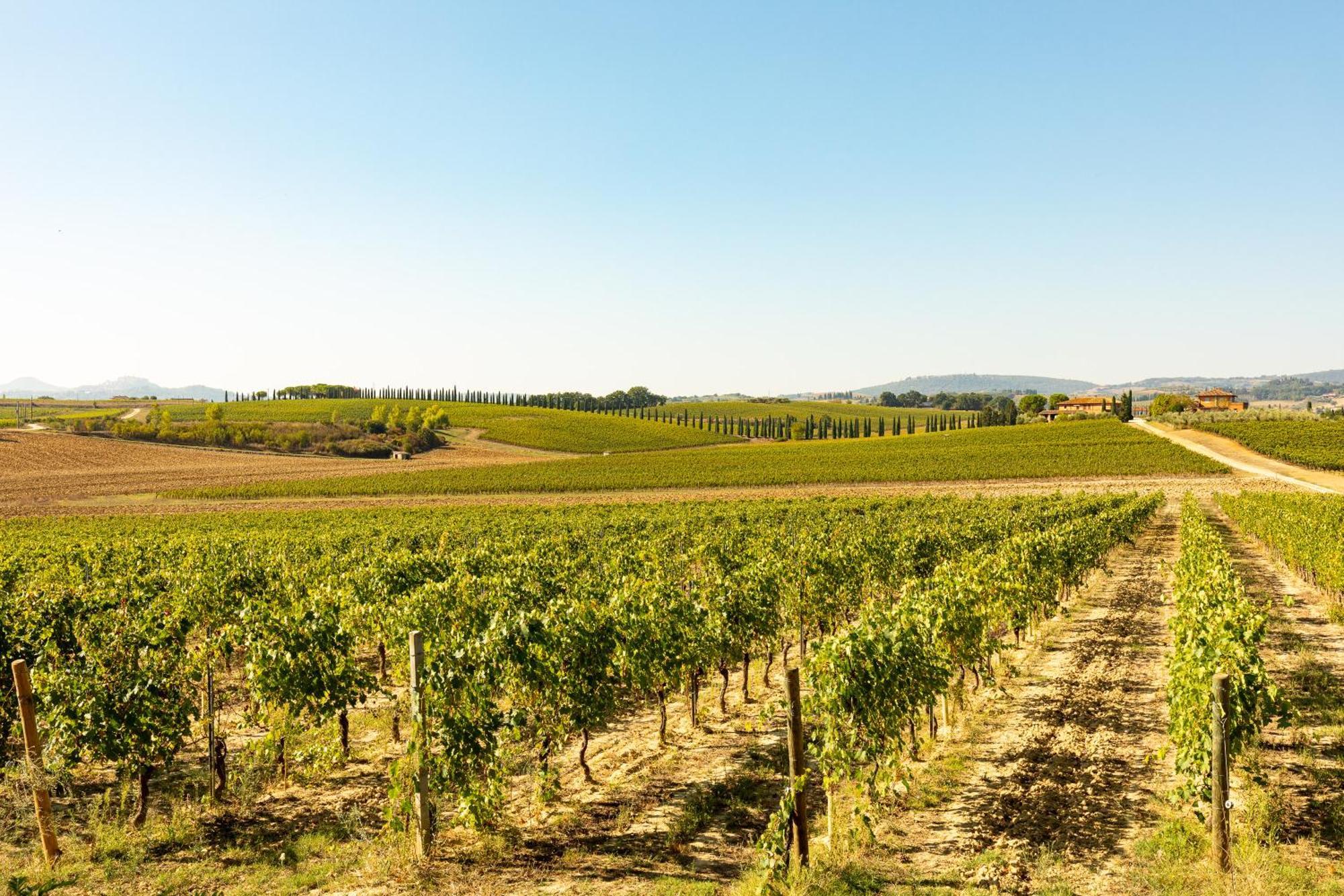 Appartamento Nobile Montepulciano Stazione Eksteriør billede